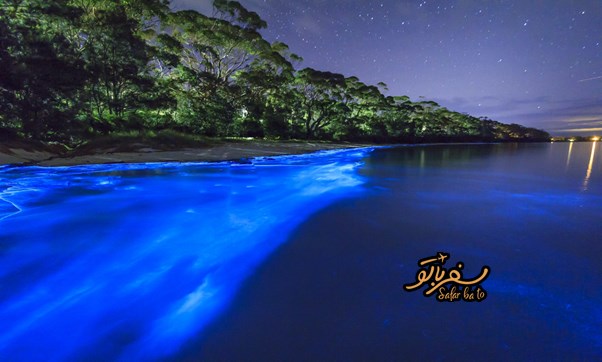 خلیج موسکیتو | همه چیز درباره خلیج موسکیتو